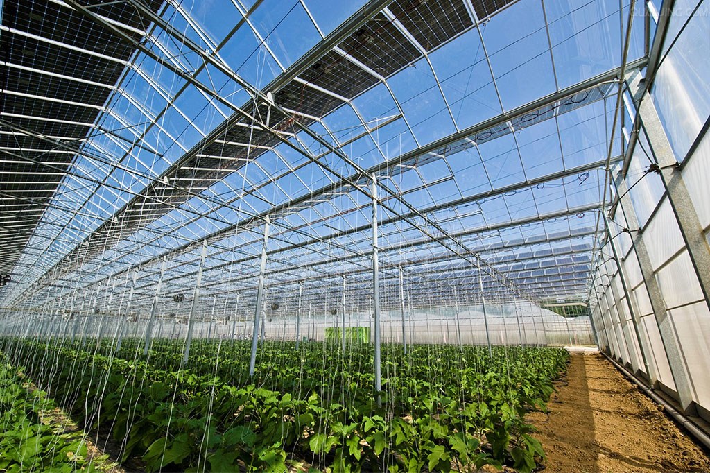 Photovoltaic (pv) agricultural greenhouses 
