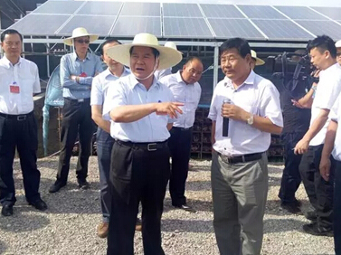 Yunnan provincial party secretary li, the governor of Moses chan delegation visited henan tianfon cooperated-builing photovoltaic greenhouse projects 